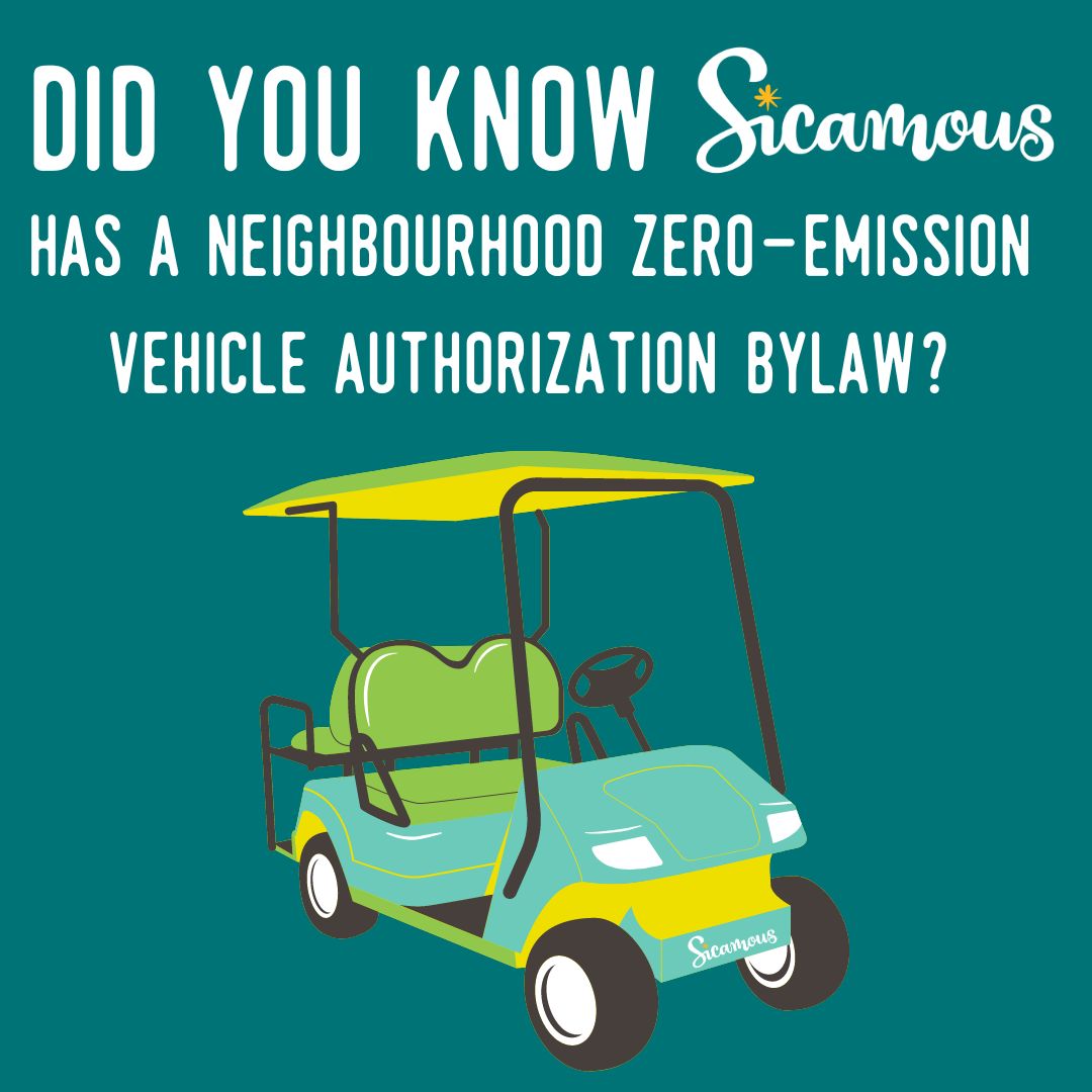 did-you-know-sicamous-has-a-neighbourhood-zero-emission-vehicle