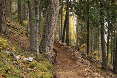 Trail development at the future Owlhead Mountain Bike Park in October 2024.