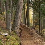 Trail development at the future Owlhead Mountain Bike Park in October 2024.