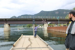 Columbia Shuswap Invasive Species Society Tests Sicamous Narrows for Invasive Mussels
